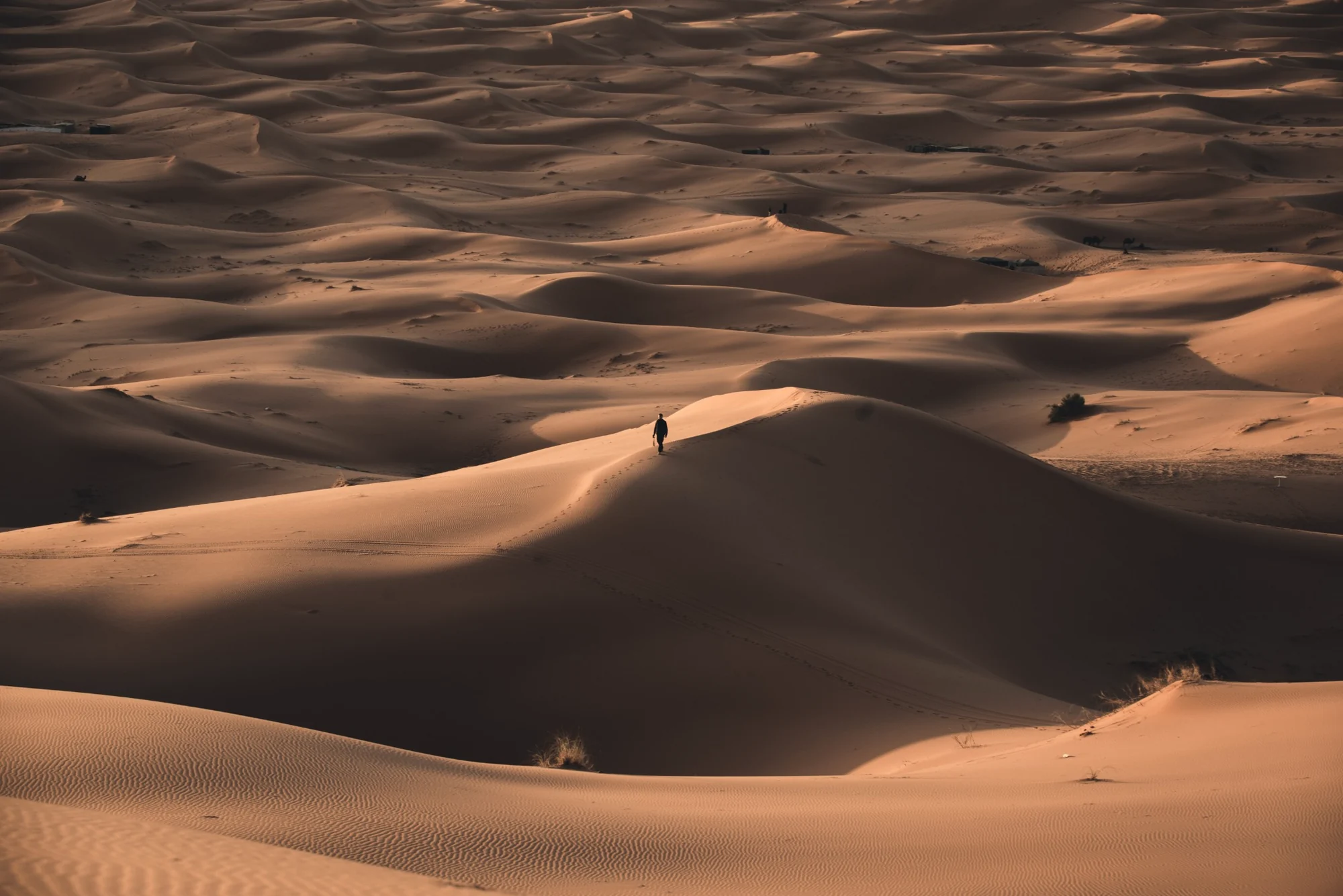 Dunas del Sahara
